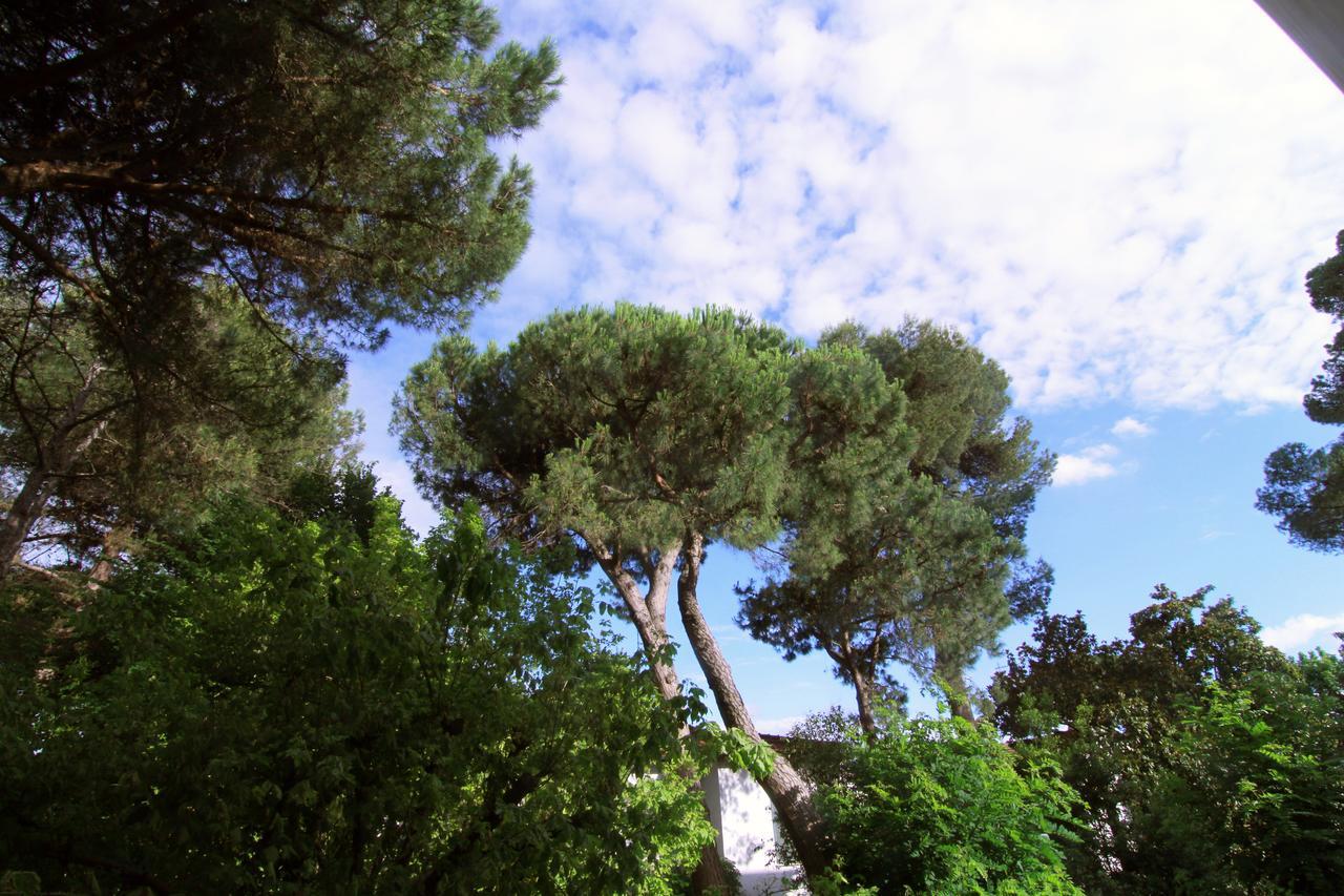 Hotel Garni Picnic Riccione Exteriér fotografie